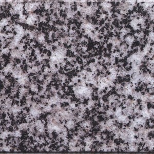 Granite   Black & White Flower G – 1317