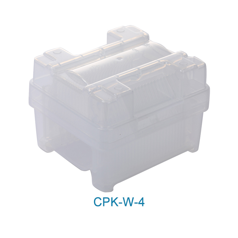 China PLASTIC HINGED BOX FOAM INSERT CPK-SP-12025 Manufacturer and Factory