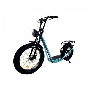 New model Standing Up Fat Tyres Scooter Style Electric Bike Tu 2620