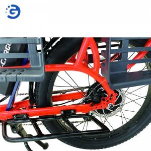 Chinese Factory Wholesaler Hot selling NEW Design TRI-CARGO II Cargo E-Bike with 2 battery