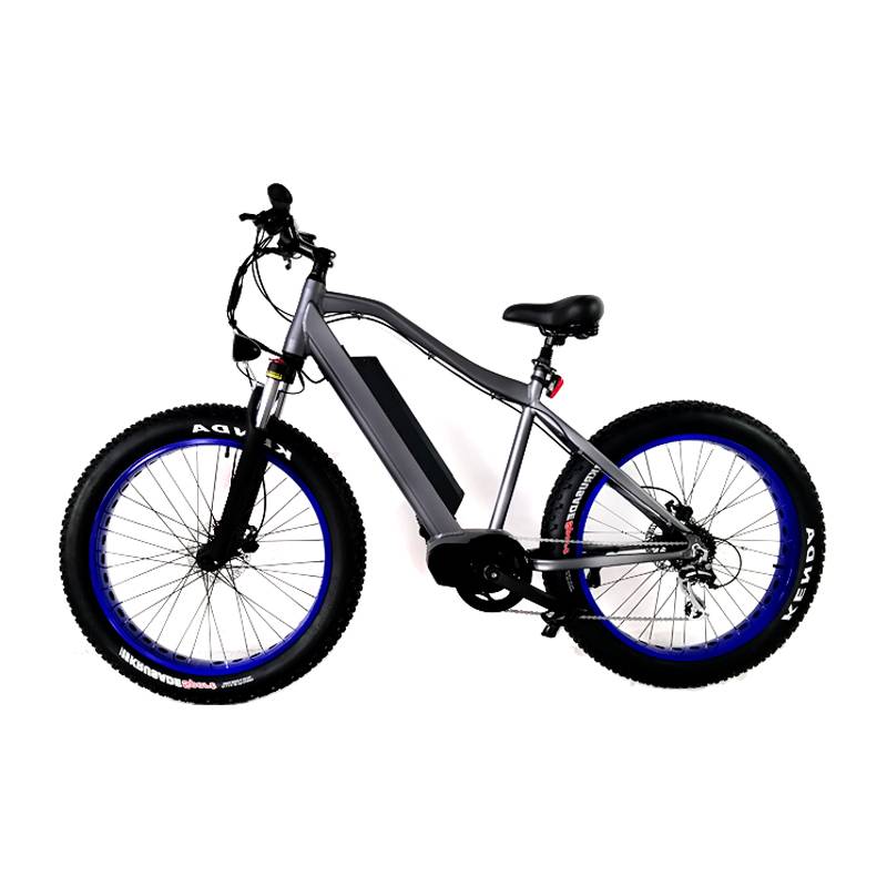 Top Quality Powerful E-Bike - 48V 350W-1000W Fat Tyres Electric Bike Mid Drive MTB – CSE