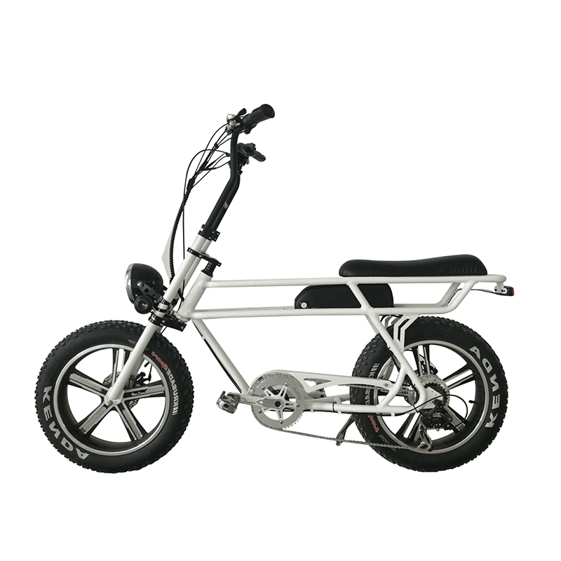 Fast delivery 2020 New Electric Motorcycle - Fat E-bikeRetro Plus 48V 750W E-bike – CSE