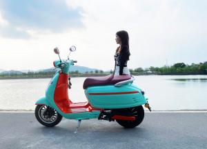 2022 Unique Design New Model Lucking EEC/Coc with Lithium Battery Electric Scooter