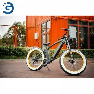 Chinese Factory Hi-Lay II 48V 350W-750W REAR-DRIVE Fat Tyres Electric Bike