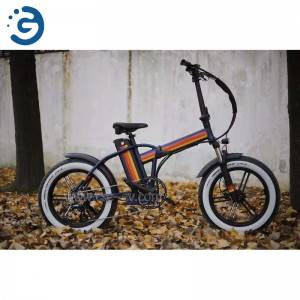 Chinese Factory F20 48V 750W REAR-DRIVE Fat Tyres Electric Bike