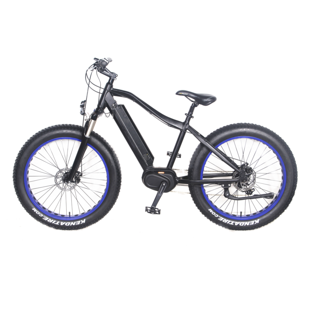 Excellent quality 2020 New E-Scooter - 48V 350W-1000W Fat Tyres Electric Bike Mid Drive MTB – CSE