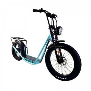 New model Standing Up Fat Tyres Scooter Style Electric Bike Tu 2620