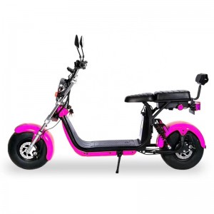 EEC & COC CP2 Approved Citycoco E-scooter