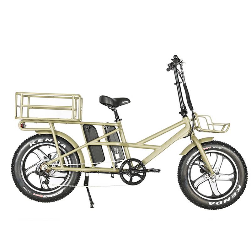 Leading Manufacturer for Electric Bike 25km/H - Dual Baskets and Dual Batteries Cargo Electric Bike 750W – CSE