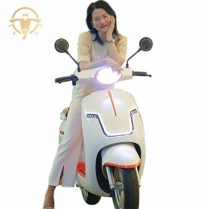 New Design Lucking Max Speed 45km/H-100km/H Electric Motorcycle E-Scooter EEC/Coc