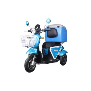 Hot New Products Tricycle Adult - E Take-away Boy – Multi-Tree