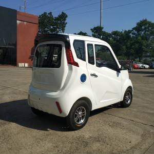 Electric Passenger Car with AC
