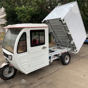 Cuaca Bukti Ditutup E Cargo Tricycle (3W)