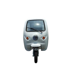 E Refrigerating tricycle