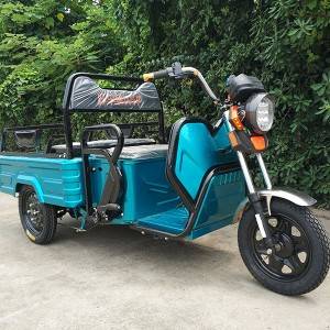 Factory Outlets Electric Tricycle For Transportation - Electric Mini Cargo Tricycle – Multi-Tree