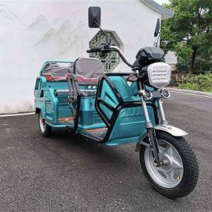 Electric Passenger and Cargo Convertible Trike