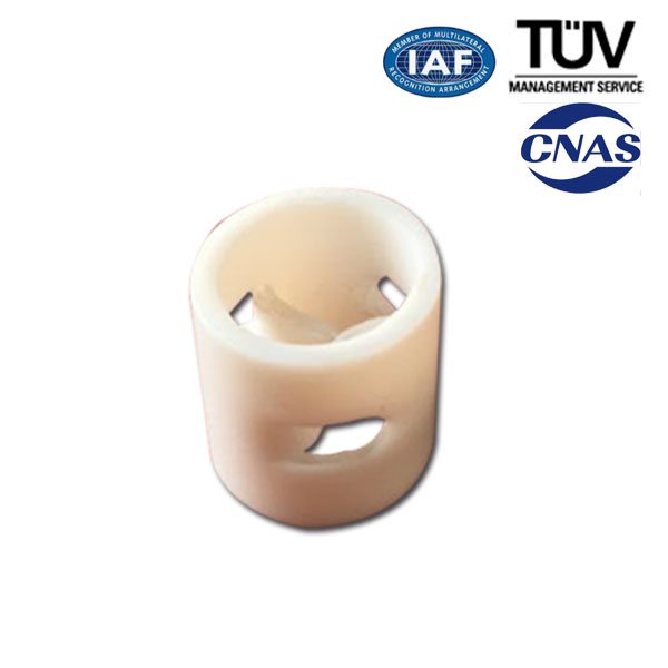 Factory Free sample Pall Ring for Yemen Importers detail pictures