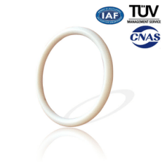 Factory Price PTFE O RING for Argentina Factory Featured Image