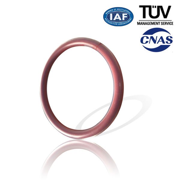 Reasonable price for FEP Encapsulated O-Ring for Mauritius Importers