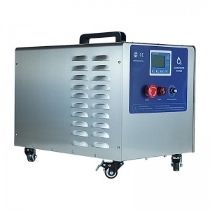 Hot Sale 220V 10G Commercial Portable Ozone Generator For Water Treatment
