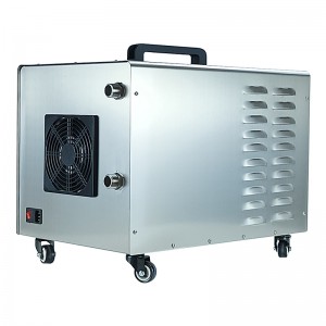 Hot Sale 220V 10G Commercial Portable Ozone Generator For Water Treatment