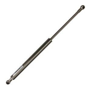 200mm Length 300N Load Automobile Tool Box Stainless Steel Gas Spring