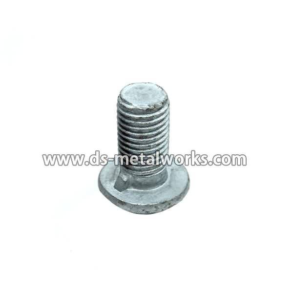 Lowest Price for Round Button Head Guardrail bolts for Johannesburg Manufacturer