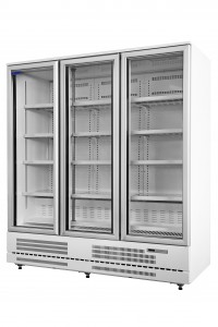 12-Commercial vertical 2 glass door freezer/refrigerator
