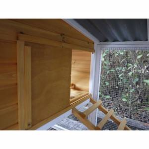 Large Chicken Coop Single Nest Box  with run
