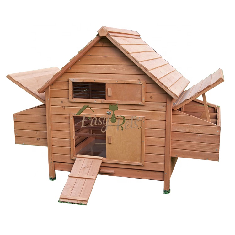 Diseño de casa de madera de huevo Capas de huevos Pollo comercial Granja avícola Coop Diseño de jaula de animales