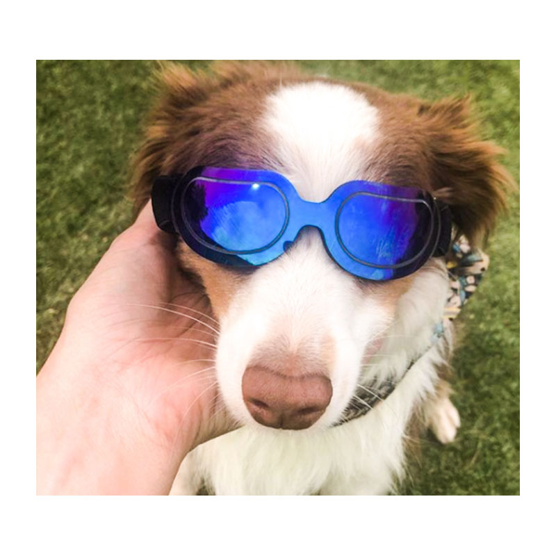 Funny Cute UV Protection Wind sculpture small medium-sized universal sun protection Pet supplies dazzle dog glasses sunglasses