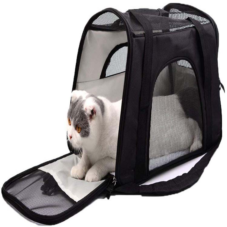 transparent Small Airplane Hiking Capsule comfortable breathable pattern portable cat pet Backpack Dog Carrier bag