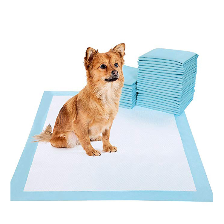 Hot Selling High Grade Pet Training Dog urine sleeping Pee Pads Featured Image