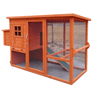 Outdoor Large Chicken Coop  with Single Nest Box
