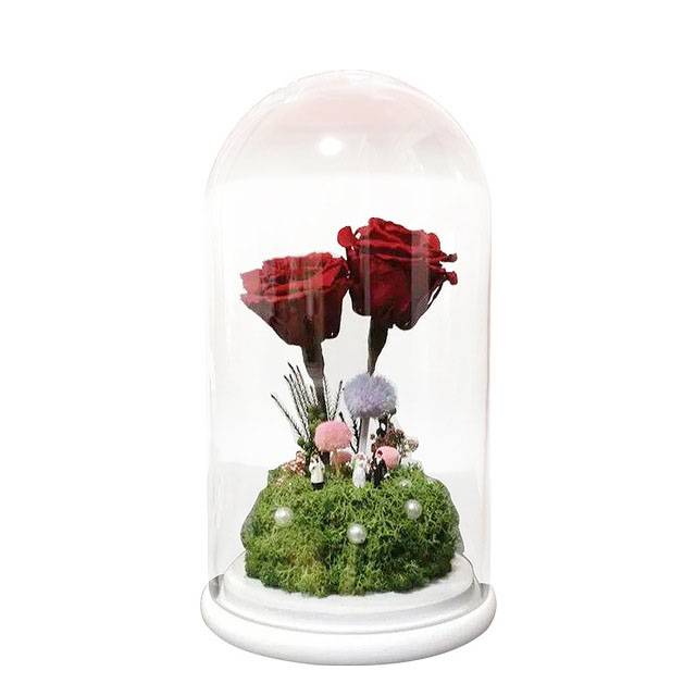 hand made decoration glass dome with wooden base Featured Image