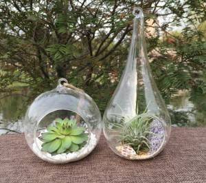 Air Plants Succulents Planter Teardrop Plant Terrarium Glass 4 Inch Hanging Orb Terrarium for Tealight Holders DIY Indoor Fairy Garden Gift