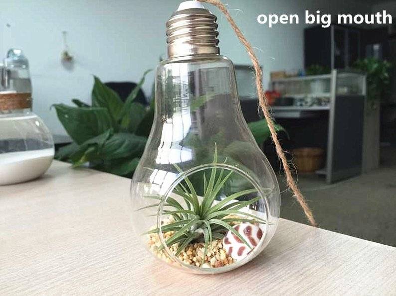 Bulb hanging terrarium//air plant planters //hanging succulent gardening//water planting hanging glass vase//house decoration Featured Image