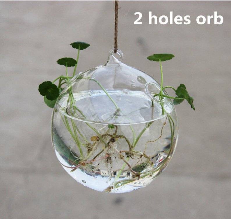 egg shape glass water planting vase//4″ globe hanging planters//green plants holders//house ornament Featured Image