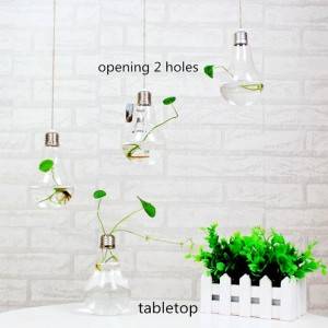 Bulb hanging terrarium//air plant planters //hanging succulent gardening//water planting hanging glass vase//house decoration