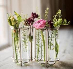 glass test tube vase in metal or wood rack for home decoration