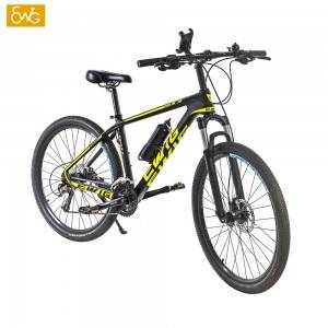 Carbon fiber mountain bike carbon fibre frame bicycle mountain bike with Fork Suspension X3 | Ewig
