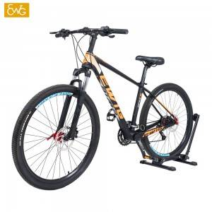 Chinese carbon mountain bike disc brake MTB bike from China factory X5 | Ewig