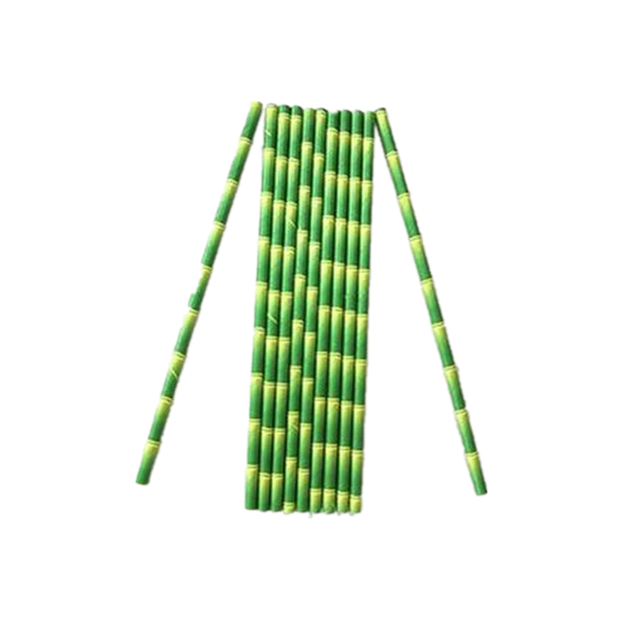 Individually Wrapped Mint Green Bambow Paper Straws For Party Featured Image