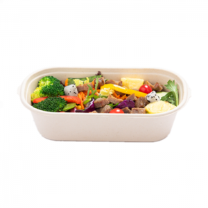 New Product Food Container Cheap Biodegradable Tableware Bowl