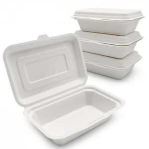 Disposable Paper Pulp Food Container Non PFAS Tableware Clamshell