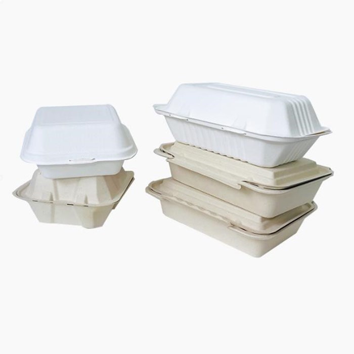 Good Price Disposable Paper Food Container Biodegradable Tableware Clamshell Featured Image