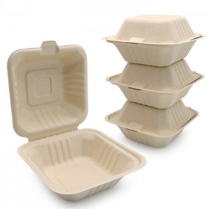 Factory Wholesale Nontoxic Healthy Biodegradable Tableware Clamshell