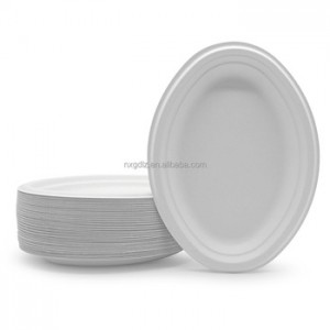 Disposable Professional Manufacturer Wholesale Biodegradable Tableware Plate