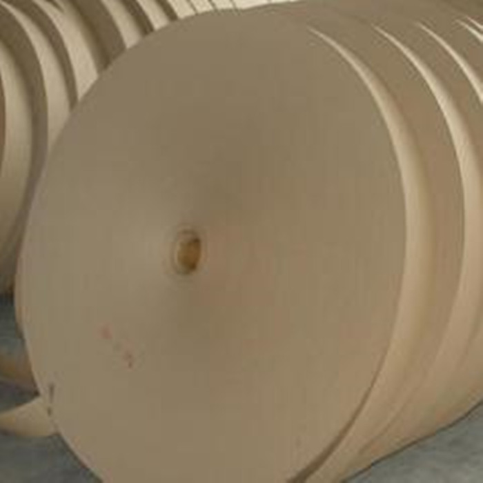Biodegradable Materials and Products Supplier - Fancyco