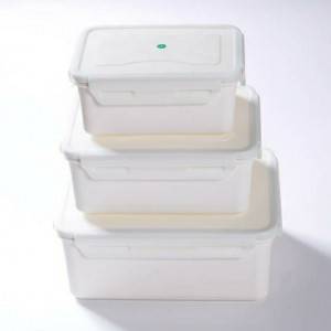 PLA FOOD CONTAINER